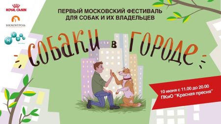 Фестиваль Собаки в городе 2017 Фестиваль Собаки в городе 2017