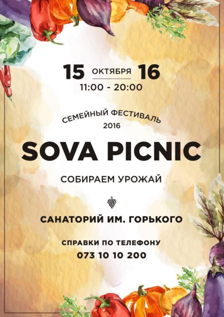 Фестиваль SovaPicnic 2016 Фестиваль SovaPicnic 2016