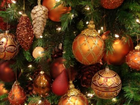 Елки 2018 в Николаеве и новогодняя программа Елки 2018 в Николаеве и новогодняя программа