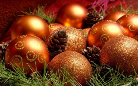 Ялинки 2017 в Івано-Франківську та святкові заходи Ялинки 2017 в Івано-Франківську та святкові заходи