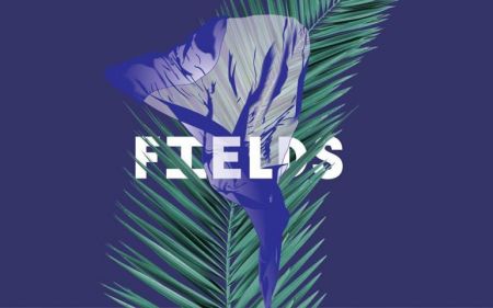 Фестиваль Fields 2016 Фестиваль Fields 2016