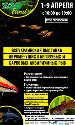 Выставка икромечущих карпозубых и карповых аквариумных рыб Выставка икромечущих карпозубых и карповых аквариумных рыб