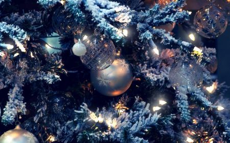Елки 2019 в Самаре и новогодняя программа Елки 2019 в Самаре и новогодняя программа