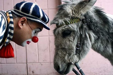 Международный праздник юмора «XIII Смешной фестиваль» 2016 Международный праздник юмора «XIII Смешной фестиваль» 2016