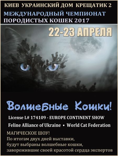 Выставка Волшебные Кошки Выставка Волшебные Кошки