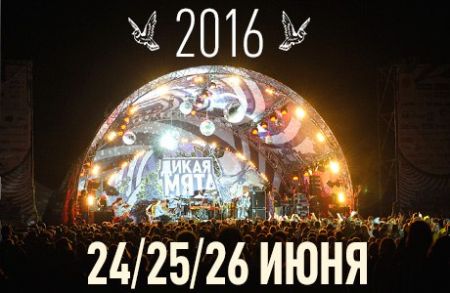Фестиваль «Дикая Мята» 2016 Фестиваль «Дикая Мята» 2016