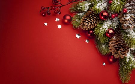 Елки 2019 в Краснодаре и новогодние события Елки 2019 в Краснодаре и новогодние события